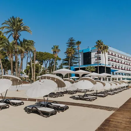 Arkin Palm 5*