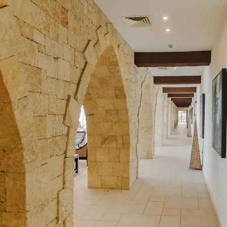 Arkin Palm 5* 파마구스타