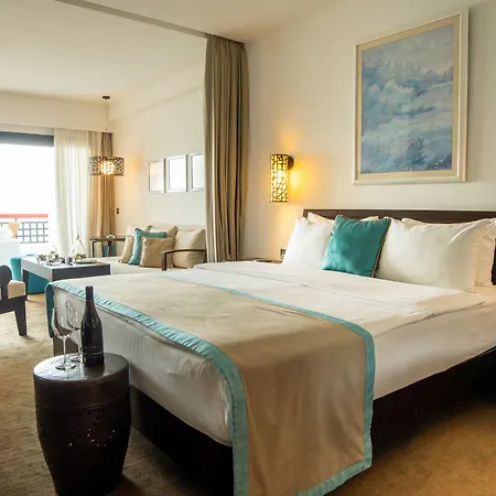 Arkin Palm 5* 파마구스타