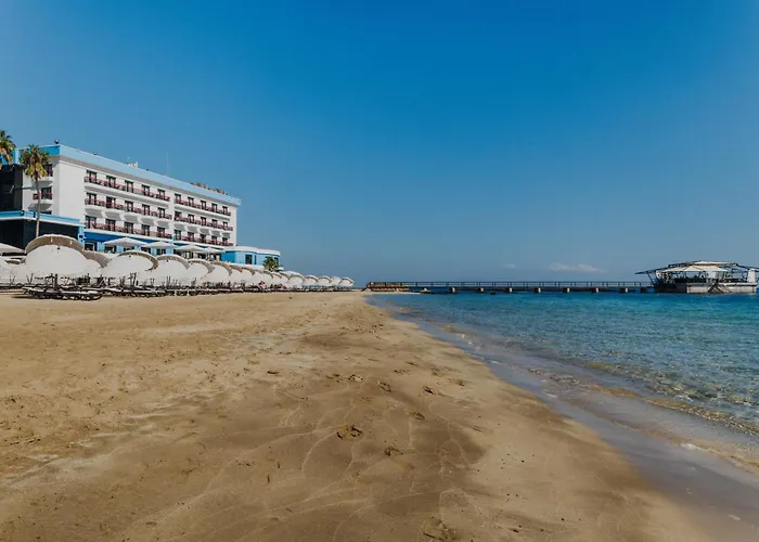 Arkin Palm Ξενοδοχείο